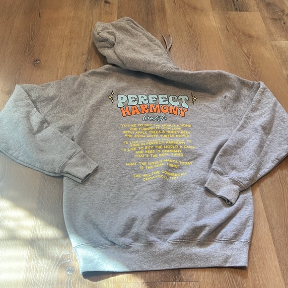 Coca-Cola Grey Hoodie Perfect Harmony The Hilltop Commercial 1971 Small - Picture 8 of 10